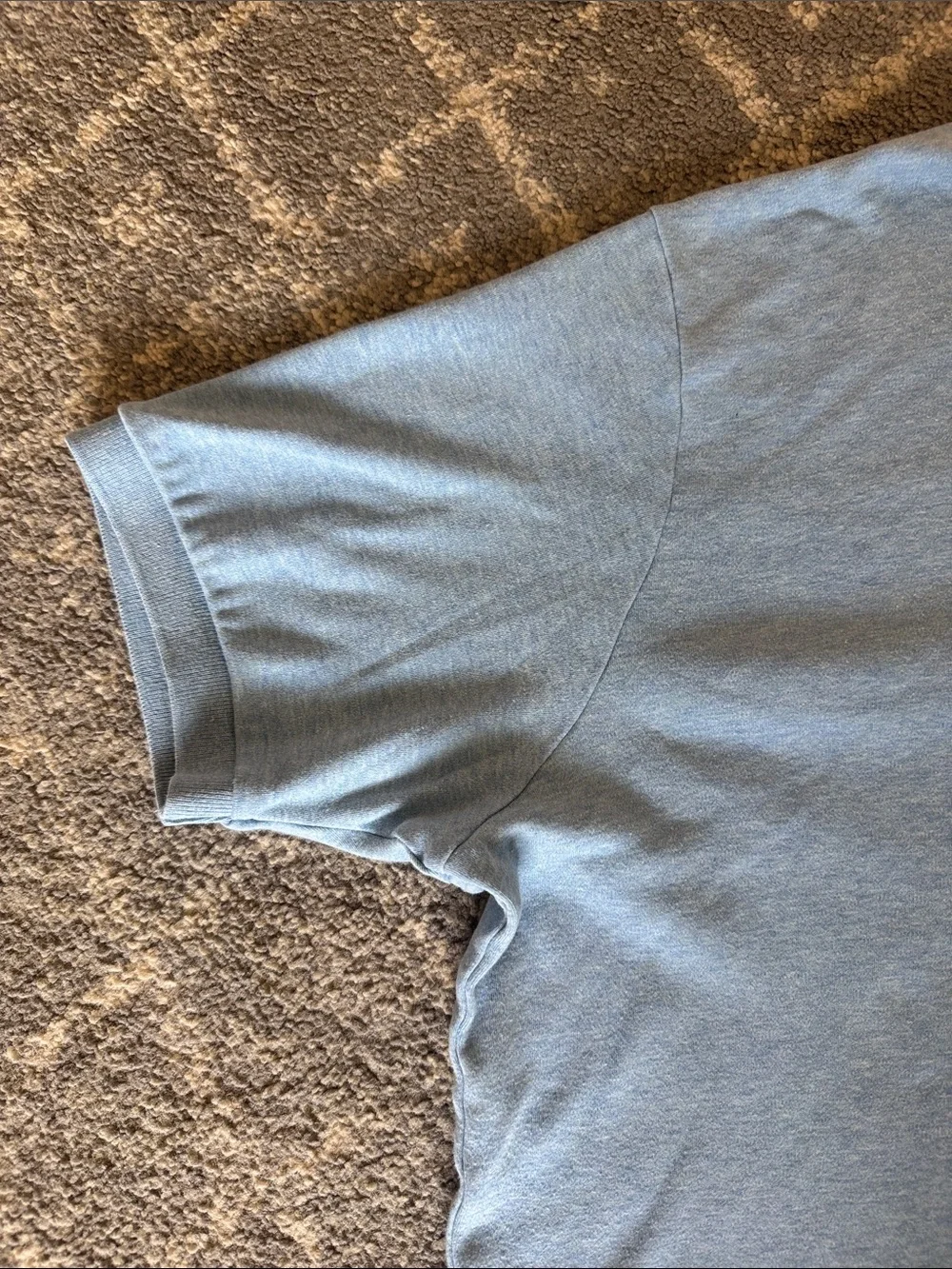 Polo by Ralph Lauren Sky Blue Cotton Polo with Embroidered Maroon Pony